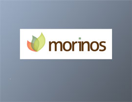 Morninos Company Logo
